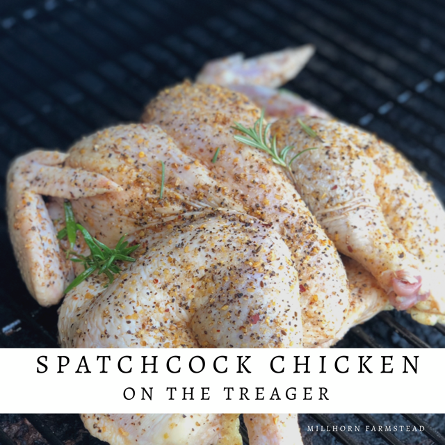 Best spatchcock chicken | millhorn farmstead