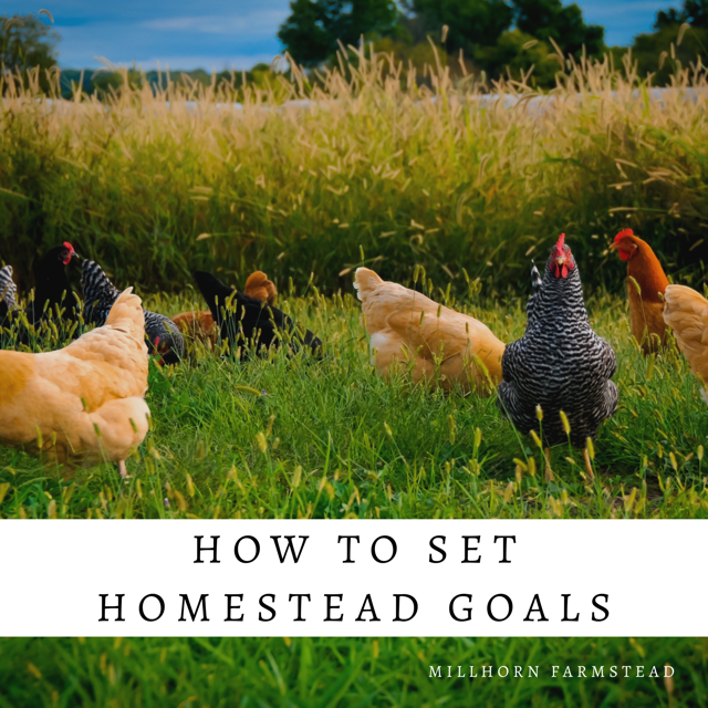 How to set homestead goals | millhorn farmstead