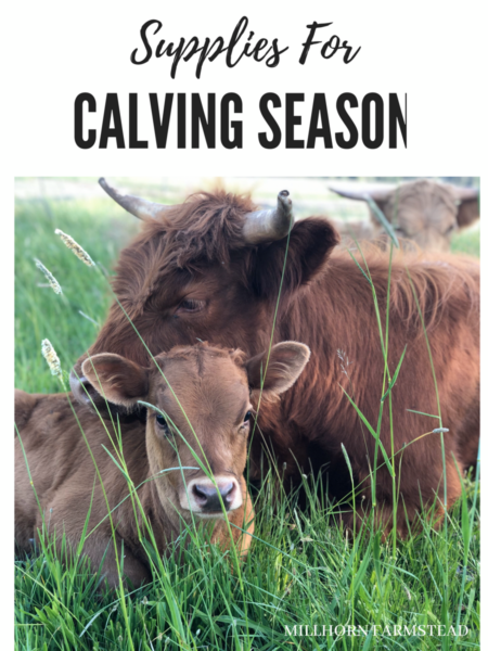 dairy farm, calving supplies | millhorn farmstead
