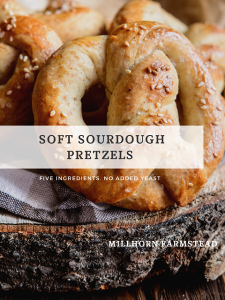 Soft sourdough Pretzels | Millhorn Farmstead