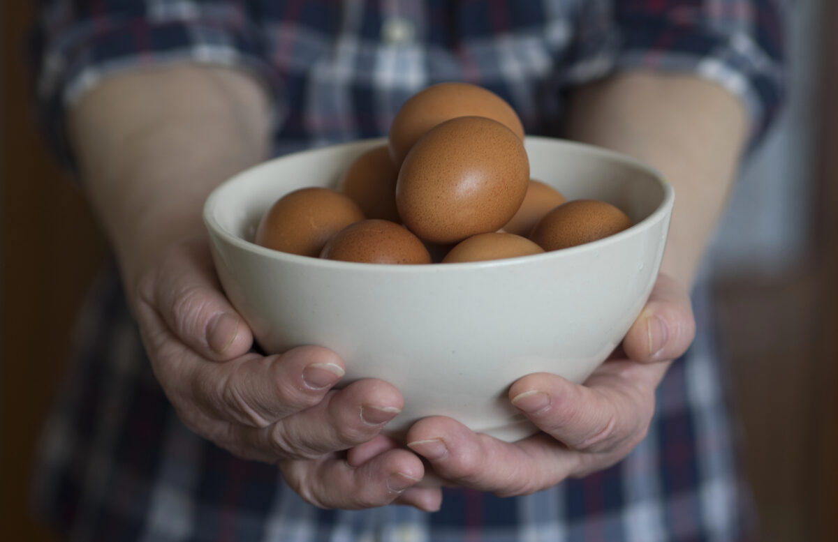 farm fresh eggs in the kitchen