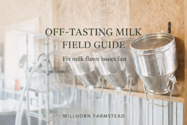Off-tasting milk guide cover showing dairy barn setup and milk buckets for troubleshooting milk flavor issues