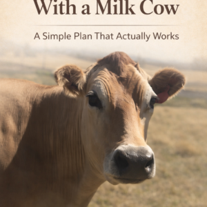 Jersey milk cow standing in pasture with text overlay “Your First 30 Days With a Milk Cow – A Simple Plan That Actually Works” Millhorn Farmstead