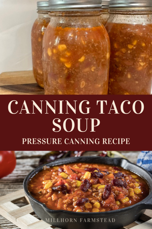 Jars of pressure canned taco soup with ground beef, beans, corn and tomatoes, shown with a bowl of finished taco soup.