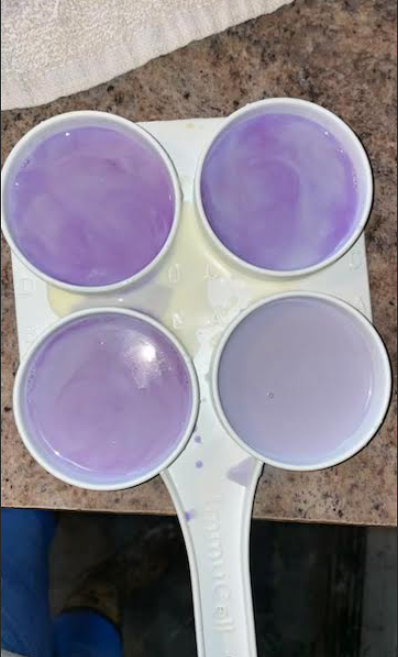 California Mastitis Test paddle showing milk mixed with purple CMT reagent