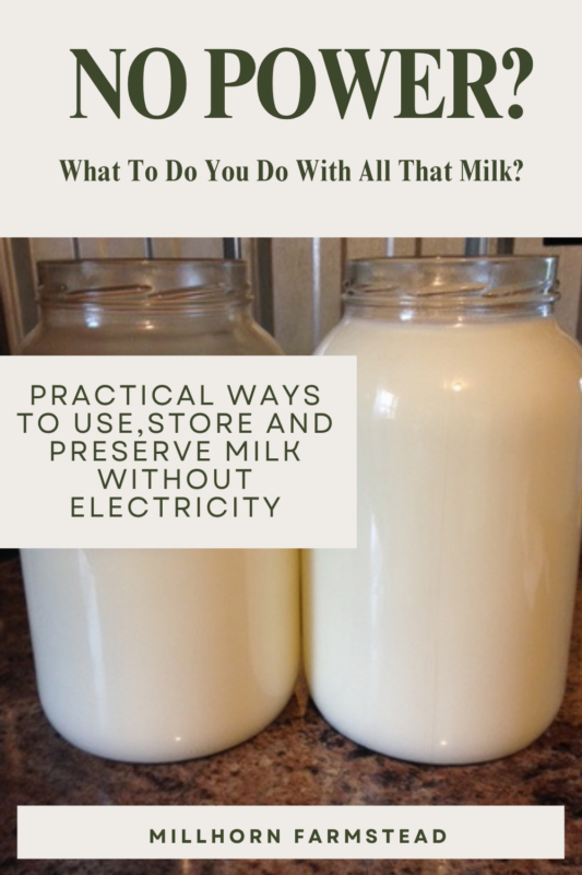 Two gallon glass jars of fresh raw milk for preserving milk without electricity during a power outage.